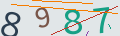 verifycode